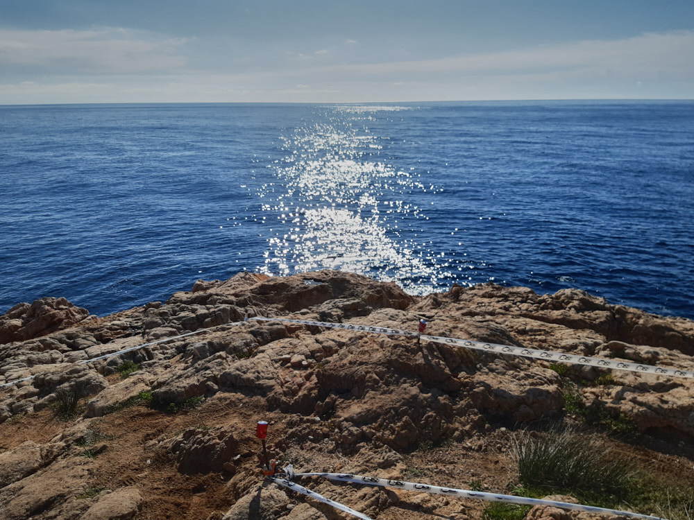 Sektionen direkt am Meer
